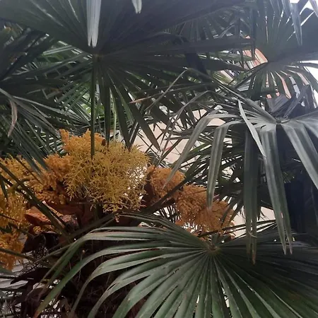 Lovely And Quite Appartament 1-3 A *