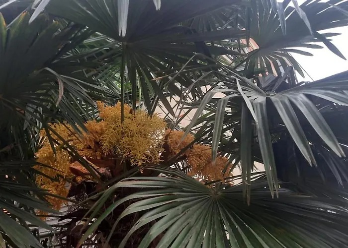 Lovely And Quite Appartament 1-3 A *